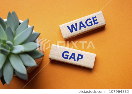 Wage Gap symbol. Concept words Wage Gap on wooden blocks. Beautiful orange background with succulent plant. Business and Wage Gap concept. Copy space. 107964883