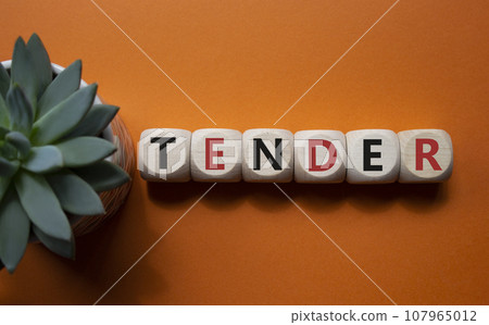 Tender symbol. Concept word Tender on wooden cubes. Beautiful orange background with succulent plant. Medicine and Tender concept. Copy space. Tender symbol. Concept word Tender on wooden cubes. Beautiful orange background with succulent plant. Medicine and Tender concept. Copy space. 107965012