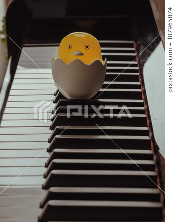 chick, duck, egg 107965074
