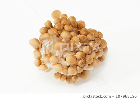 Shimeji Bunshimeji Mushroom 107965156