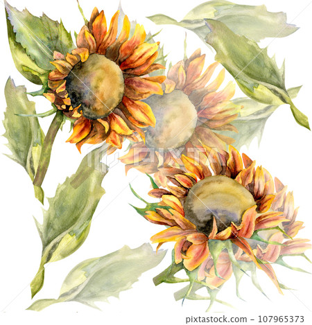 WAtercolor sunflower seamless patetrn on white background. Floral autumn flowers pattern for logo, flower shop florist design WAtercolor sunflower seamless patetrn on white background. Floral autumn flowers pattern for logo, flower shop florist design 107965373