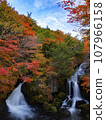 Dynamic scenery of Ryuzu Falls in Oku-Nikko in autumn 107966158
