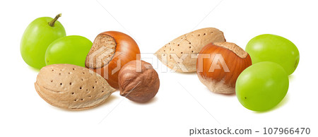 Almond and hazelnut in shell plus green grapes set isolated on white background Almond and hazelnut in shell plus green grapes set isolated on white background 107966470