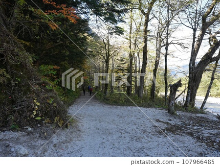 Kamikochi Azusagawa hiking 107966485