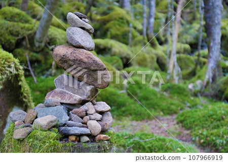 大山深處的路標 大山深處的路標 107966919
