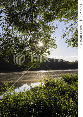 a wide river at dawn in the autumn season 107967073