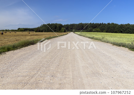 wide sandy road to the forest 107967252