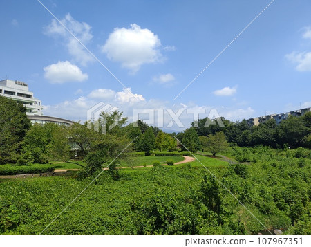 A white building stands at the back of a park surrounded by green trees under a blue summer sky. 107967351
