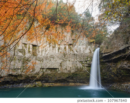Miyazaki_Unoko Falls and autumn leaves scenery 107967840