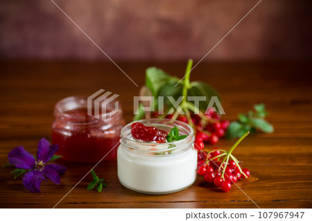 Prepared homemade yogurt with viburnum jam and viburnum . Prepared homemade yogurt with viburnum jam and viburnum . 107967947