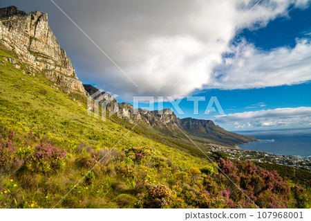 View of Table Mountain from Kloof Corner hike at sunset in Cape Town, western Cape, South Africa View of Table Mountain from Kloof Corner hike at sunset in Cape Town, western Cape, South Africa 107968001