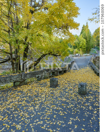 Kumamoto_Futamata Bridge and spectacular scenery of autumn leaves 107968069