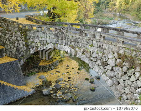Kumamoto_Futamata Bridge and spectacular scenery of autumn leaves 107968070