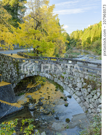 Kumamoto_Futamata Bridge and spectacular scenery of autumn leaves 107968073