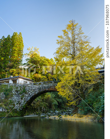 Kumamoto_Futamata Bridge and spectacular scenery of autumn leaves 107968075