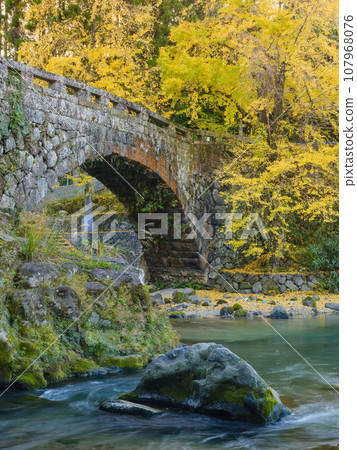 Kumamoto_Futamata Bridge and spectacular scenery of autumn leaves 107968076