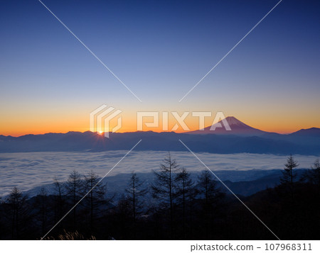 山梨縣_從甘利山眺望黎明時分的甲府盆地和富士山的壯麗景色 107968311