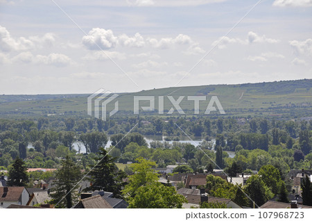 在前往艾賓根聖希爾德加德修道院的路上欣賞萊茵河谷中卡米地區美麗的自然風光 107968723