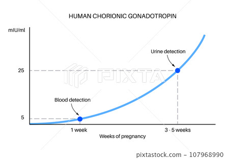Hormones in pregnancy Hormones in pregnancy 107968990