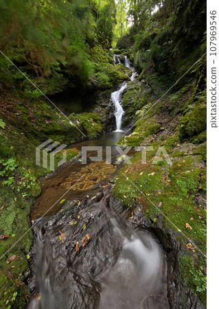 Lower part of Baba Falls (Kamiyuge-cho, Keihoku, Ukyo-ku, Kyoto-shi, Kyoto Prefecture) 107969546