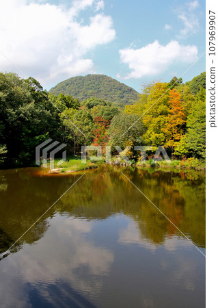 Mt. Kozan seen across Mikuruma Pond in Nishinomiya City 107969907