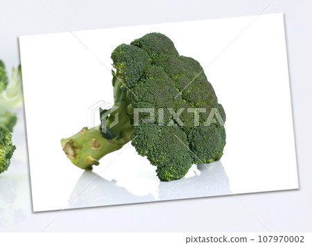 Broccoli isolated on white background 107970002