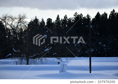 A winter scene on the outskirts of town with a lot of snow in front of Sugiharashi 107970200