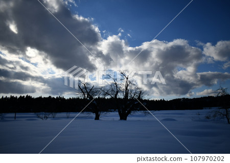 陰沉的雪地景觀,陽光照耀在天空的雲層後面 陰沉的雪地景觀,陽光照耀在天空的雲層後面 107970202
