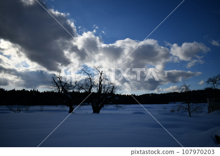 壯麗天空下的黑闇雪原景觀 壯麗天空下的黑闇雪原景觀 107970203