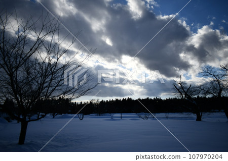 從厚厚的雲層中溢出的閃亮的天空下陰沉的雪地景觀 從厚厚的雲層中溢出的閃亮的天空下陰沉的雪地景觀 107970204