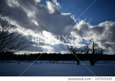 冬季白天從雪原看到的風景,天空壯麗 冬季白天從雪原看到的風景,天空壯麗 107970205