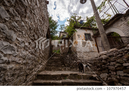 Old town Gjirokaster in Albania 107970457