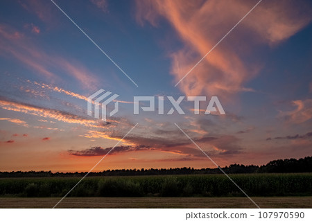 Colorful clouds in summer evening sky. Bright and pink clouds in sky sunset or sunrise. Beautiful 107970590