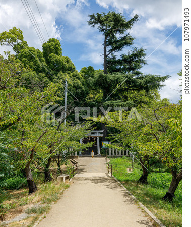 舊城道路 津戶八幡神社 世界遺產 古市古墳群 津戶城山古墳(藤井寺陵參考址) 2023 年 8 月 2 日 舊城道路 津戶八幡神社 世界遺產 古市古墳群 津戶城山古墳(藤井寺陵參考址) 2023 年 8 月 2 日 107971493