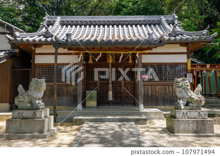 舊城道路 津戶八幡神社 世界遺產 古市古墳群 津戶城山古墳(藤井寺陵參考址) 2023 年 8 月 2 日 舊城道路 津戶八幡神社 世界遺產 古市古墳群 津戶城山古墳(藤井寺陵參考址) 2023 年 8 月 2 日 107971494