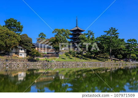 National Treasure Kofukuji Five-storied Pagoda from Sarusawa Pond October 18, 2023 National Treasure Kofukuji Five-storied Pagoda from Sarusawa Pond October 18, 2023 107971509