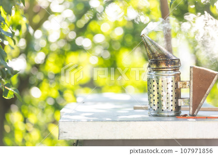 A tools of the beekeeper, smoking a smoker for bees, beekeeping concept 107971856