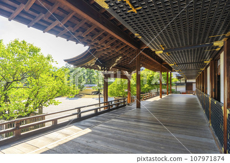 Daikakuji Temple Shinden (Saga Osawacho, Ukyo Ward, Kyoto City) 107971874