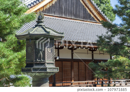 大覺寺白沙燈籠（京都市右京區佐賀大澤町） 107971885