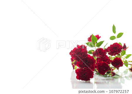 bouquet of red small roses, on white background. 107972257