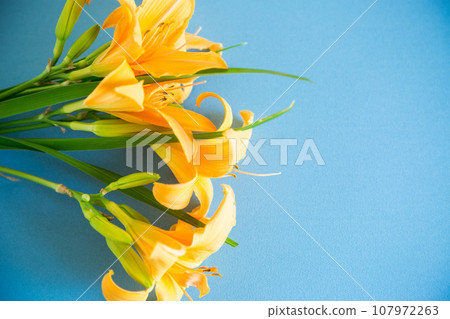 bouquet of beautiful yellow lilies on blue background 107972263