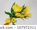 Bouquet of bright yellow tulips in a humans hand closeup. 107972311