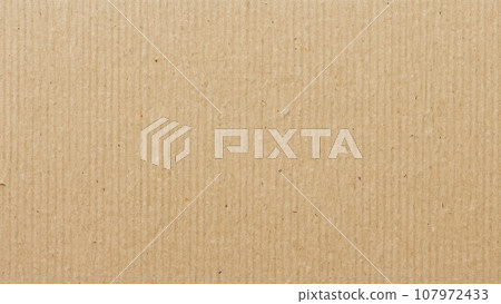 紙板 107972433