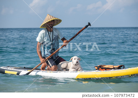 a guy on a sup board with a paddle with a dog stands on the sea in summer 107973472