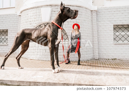 A photo of a woman and her Great Dane walking through a town, taking in the sights and sounds of the urban environment. 107974373