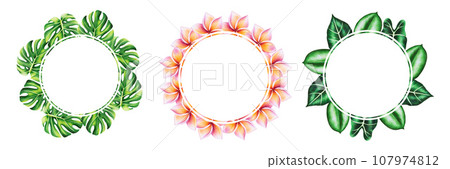 Watercolor set of frames and logos with realistic tropical leafs and frangipani. Illustration of monstera, caladium, alocasia ficus leafs isolated on white background. Beautiful botanical hand painted Watercolor set of frames and logos with realistic tropical leafs and frangipani. Illustration of monstera, caladium, alocasia ficus leafs isolated on white background. Beautiful botanical hand painted 107974812