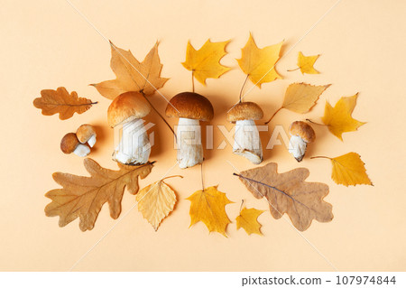 Mushroom boletus and autumn yellow and brown leaves on a beige background. Harvesting fresh cep. Food, design, autumn. Nature concept. Flat lay, top view 107974844