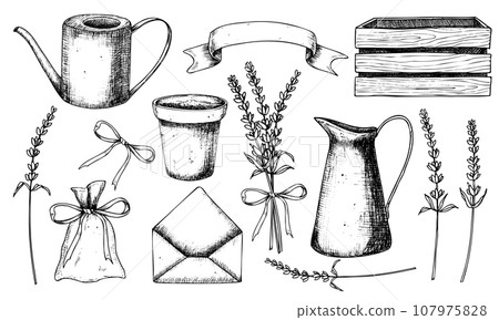 Lavender Floral set. Hand drawn vector illustrations of wild Provence herbs in white and black colors. Rustic bundle with flower pot for wild herbs and watering can. Vintage garden tools for clipart. 107975828