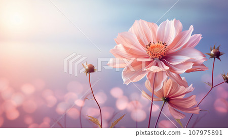 Beautiful Romantic scene - pink flower blossom in nature garden with clear sky, copy space 107975891
