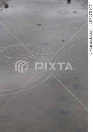 raindrop ripples raindrop ripples 107978147